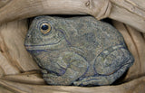 Tree Frog : Earthen Sculpture