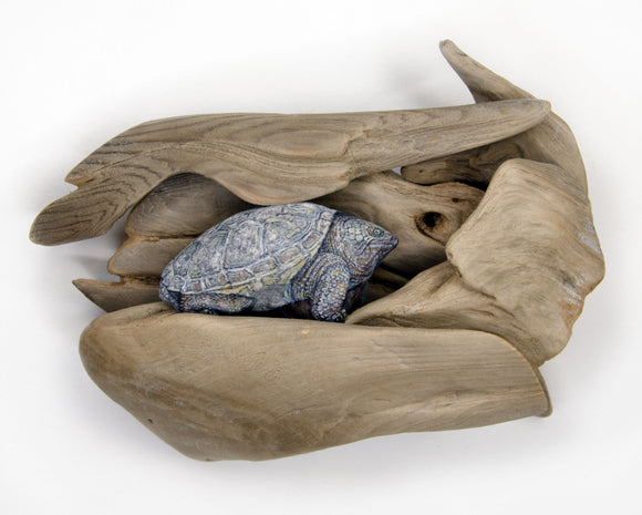 Drawn to Water : Earthen Sculpture