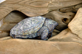 Drawn to Water : Earthen Sculpture