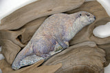 Rainbow Otter : Earthen Sculpture