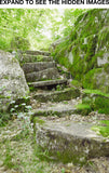 Stare Away-Canadian Artist Blake Richardson. Photograph of Stairway minimally painted to define imagery in the rocks, moss, trees and sky