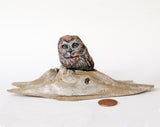 Natural shaped owl stone minimally painted and nesting on driftwood